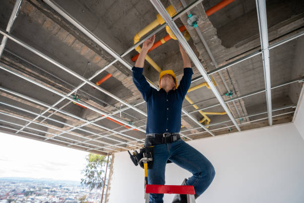 Best Same-Day Plumbing Service  in Mason, MI
