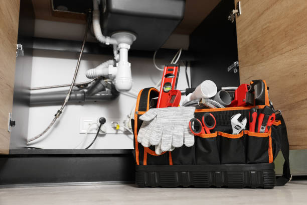 Best Leak Detection Services  in Mason, MI